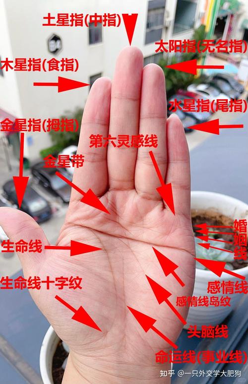 斷掌為何不能告訴別人 什么原因
