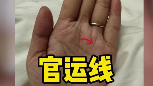 有權力的手相 手掌厚實官運財運好