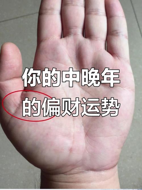 什么樣的手有財運
