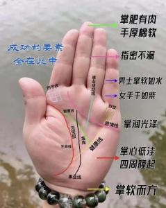 手相算命圖解，有錢人的手相