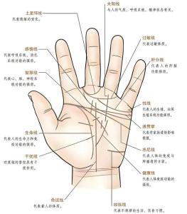 手相為什么能看出命運 健康線能輔助看健康壽辰