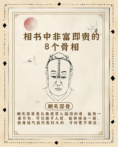 骨相學中的極品富貴相