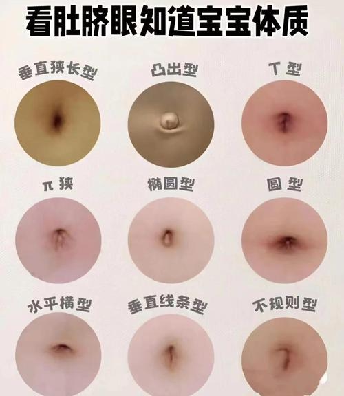 從肚臍看一個人是否有富貴命？
