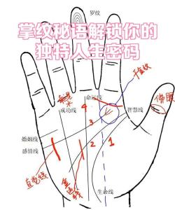 手相智慧線上有上升線，勤學善思，頭腦靈活！