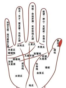 手相生命線細長代表什么意思？