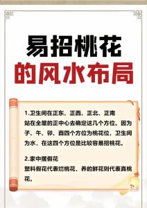 2022年一白貪狼星桃花位在哪個方向 壬寅虎年如何旺感情、人緣