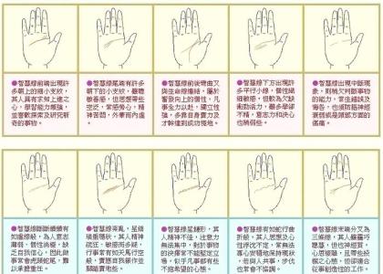 理性與浪漫并存！手相智慧線分叉好不好？