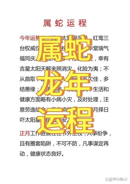 77年蛇未來運勢如何 1977屬蛇2024年47歲以后運氣好嗎