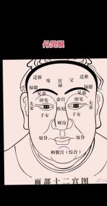 丹鳳眼的人面相命運如何