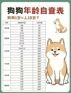 屬狗的是哪年出生的人呢今年多大 屬狗的人今年多大了2024年