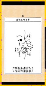 男人面相圖解,破解鼻子的秘密