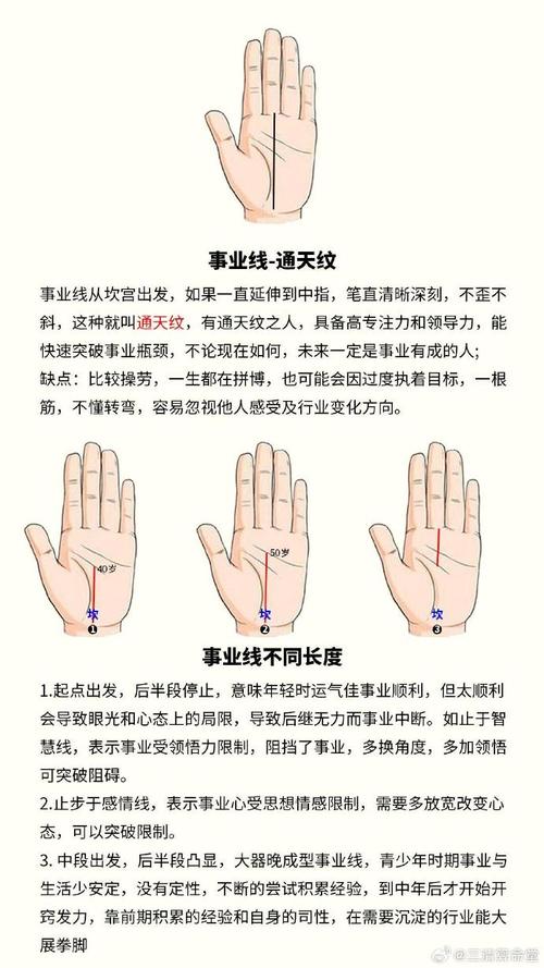 不同的事業線預示了哪些含義？