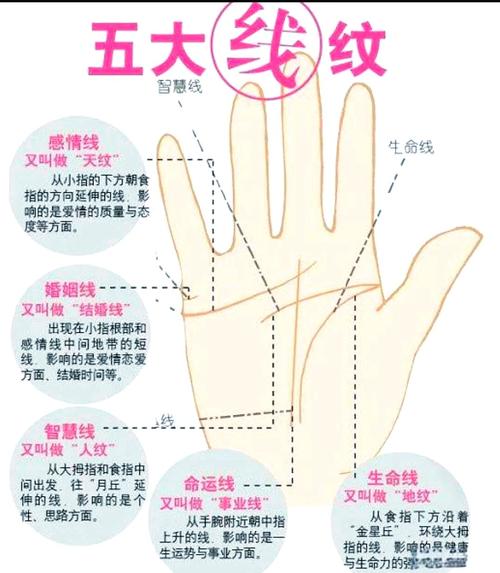手相中的子女線怎么看 正確的子女線圖解