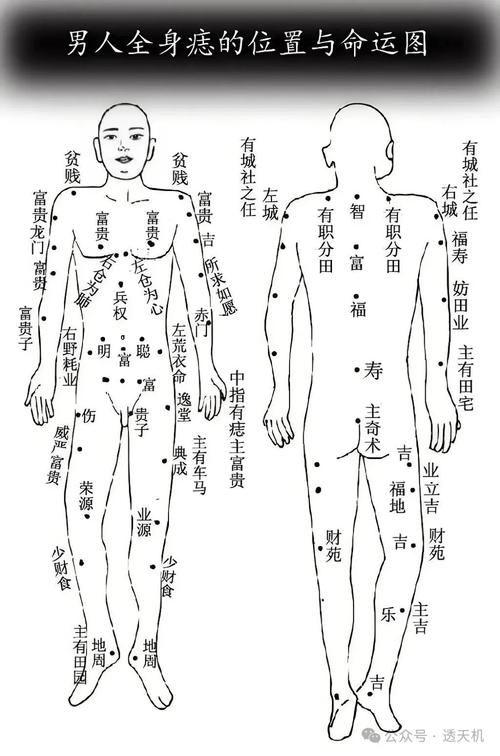 看全身上的痣相圖解大全 全身痣相算命圖解大全