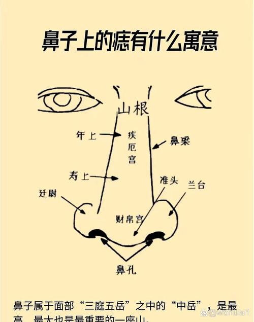 男人鼻子正中間上鼻翼有痣代表什么 男人鼻子上左側(cè)旁邊有長痣好不好