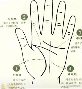 手相生命線看哪只手