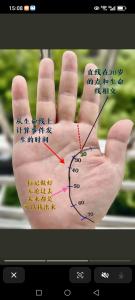 年少有為的手相，它們什么特征