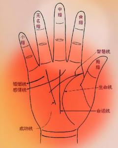 男人手相財運線 手相算命看財運