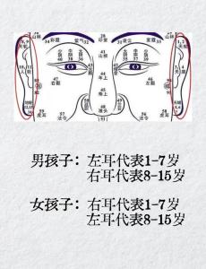 面相學：最容易生男孩的面相