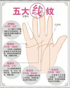 錢財紋特別多 男女錢財紋多的人命運