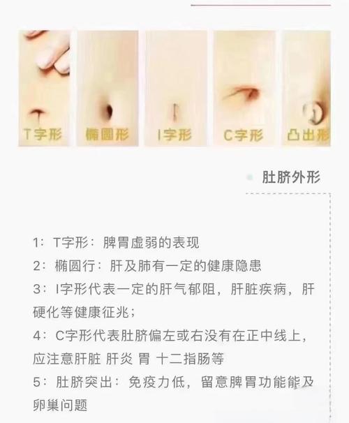 肚臍解析你的運(yùn)勢(shì)