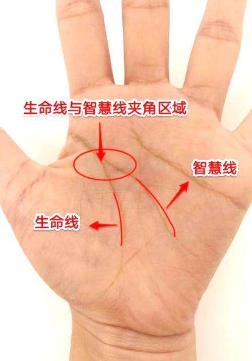 手相智慧線有兩條是什么意思 手相中有兩條智慧線預(yù)示什么