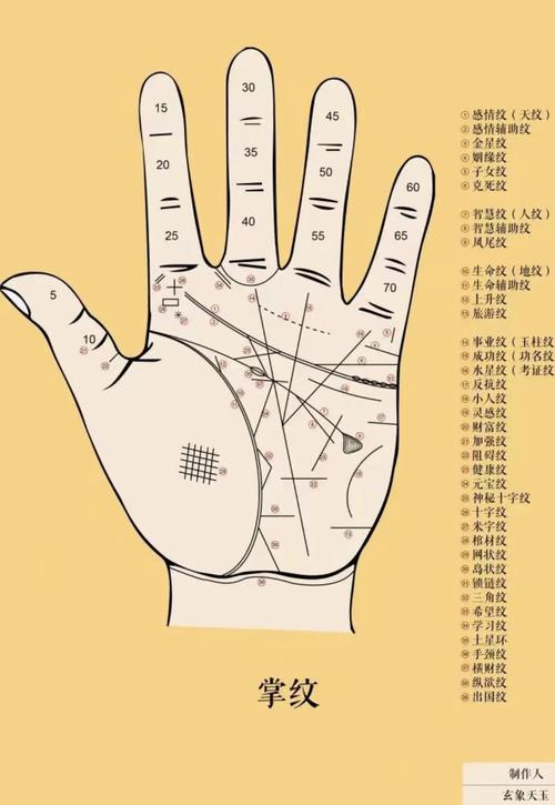 手掌痣看手掌紋路圖解算命 男人手掌紋路圖解大全
