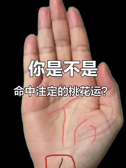 桃花運手相怎么看最有桃花的女生手相 桃花運手相特征