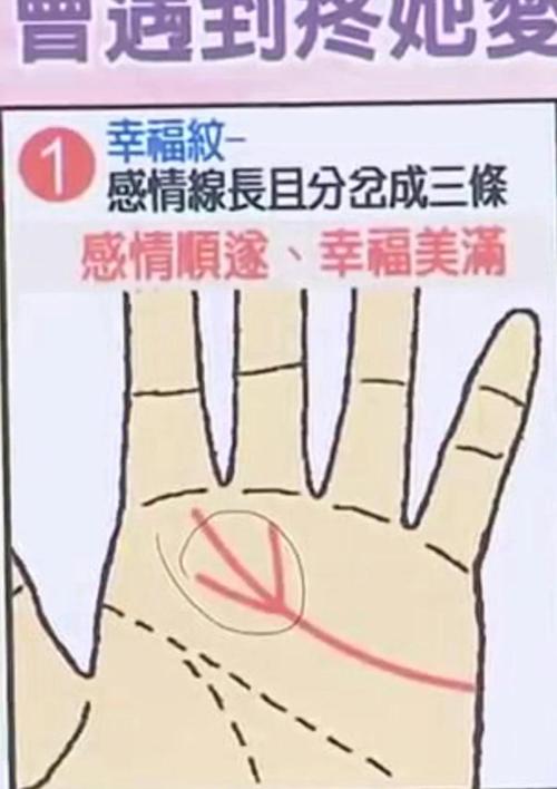愛情搶手貨的面相特征