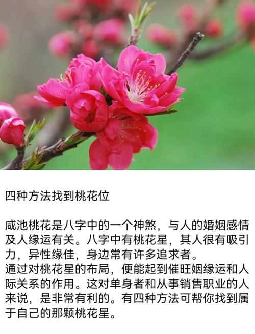桃花遲遲不來的風(fēng)水