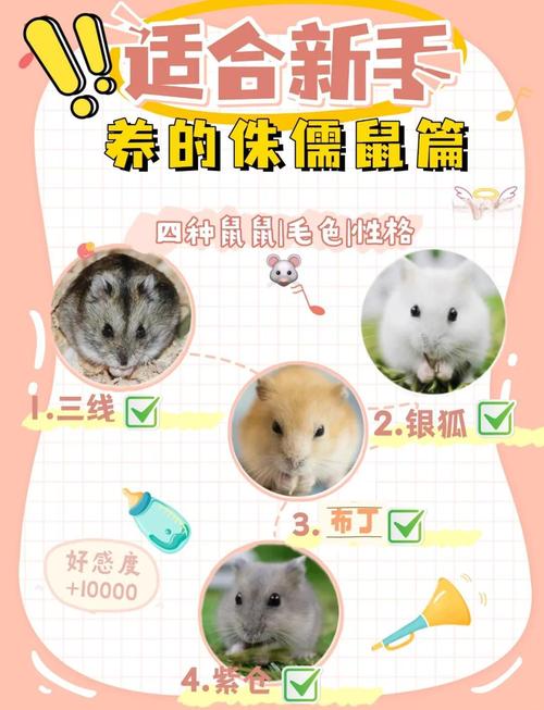 2020年霜降出生的鼠寶寶好不好 命運如何