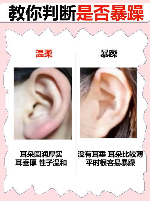 有耳垂和沒耳垂的區(qū)別 有耳垂和沒耳垂哪個好