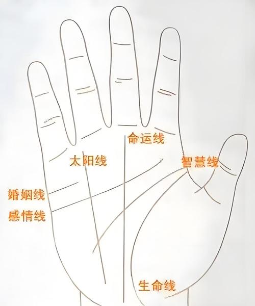 手相太陽線，太陽線圖解，手相太陽線算命圖解