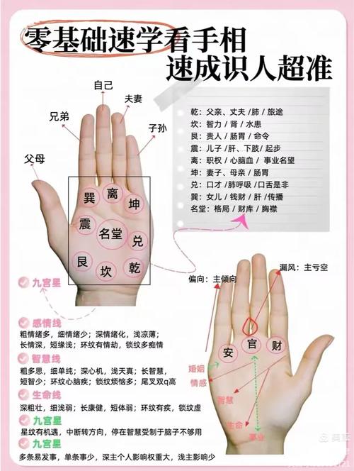 詳解：手小的女人命運如何