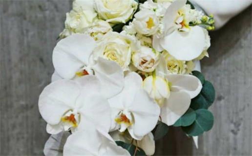 2026年農(nóng)歷九月廿五結(jié)婚吉日查詢 是辦婚禮好日子嗎