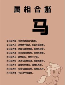 屬馬人的婚姻如何 幾月出生的屬馬人桃花運最旺