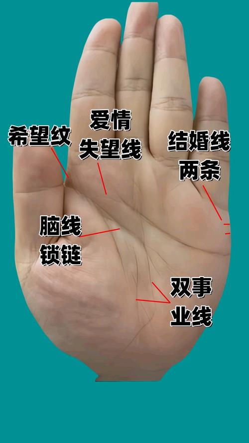 男人一生富貴的事業(yè)線