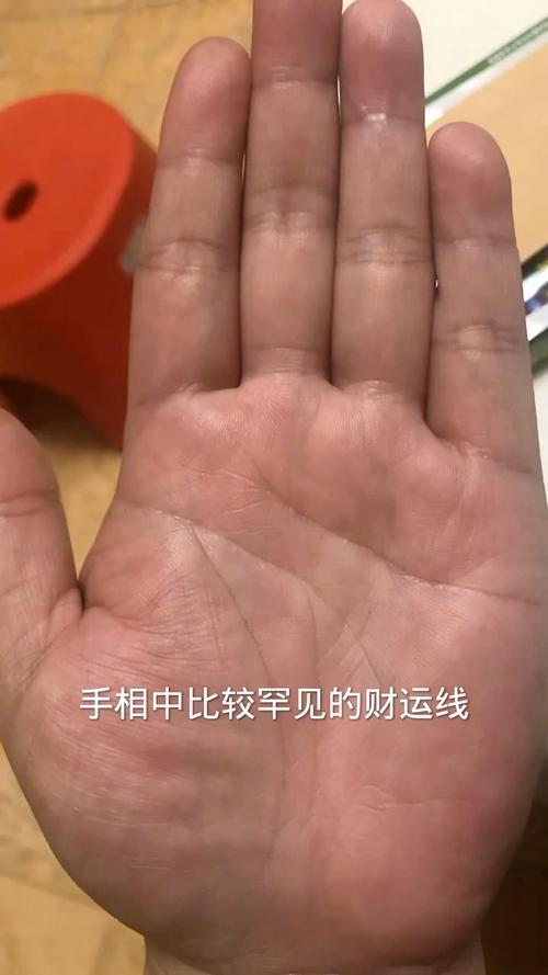 擁有偏財運的手紋 不動產紋的人從小衣食無憂