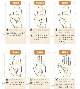 手相上的財庫在哪里 手相財庫紋解析