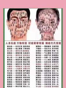 鼻子左邊有痣什么命相