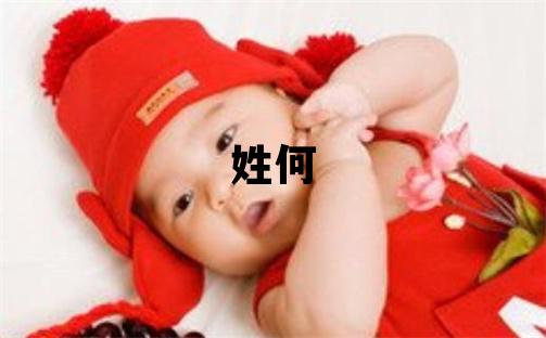 姓何叫什么名字好 姓何的男孩有創意的名字