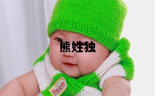 熊姓獨特優美的男寶寶名字