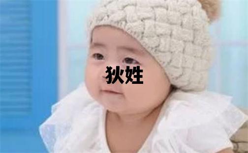 狄姓有智慧才氣的男孩名字,取什么名字好