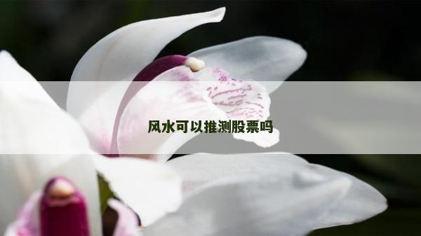 風(fēng)水可以推測股票嗎
