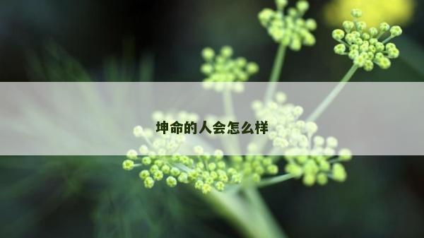 坤命的人會怎么樣