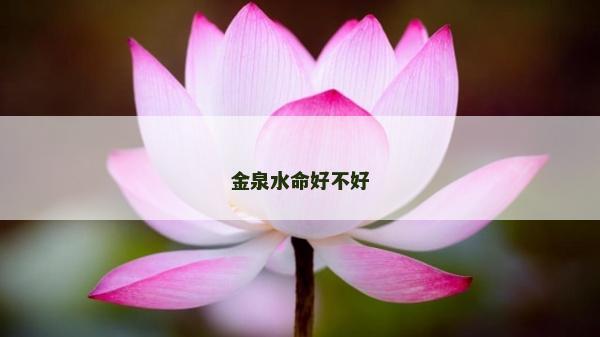 金泉水命好不好