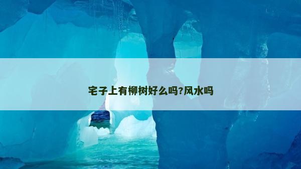 宅子上有柳樹好么嗎?風(fēng)水嗎