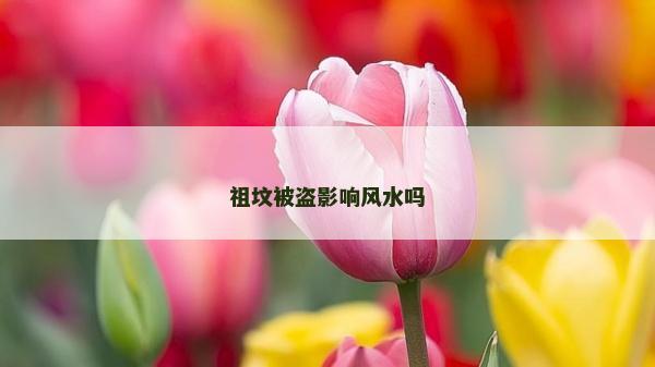 祖墳被盜影響風(fēng)水嗎