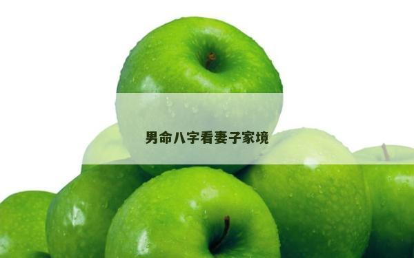 男命八字看妻子家境