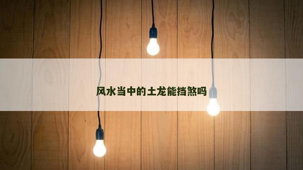 風(fēng)水當(dāng)中的土龍能擋煞嗎